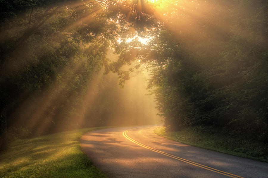Morning Rays On Rural Road Photograph by Malcolm Macgregor