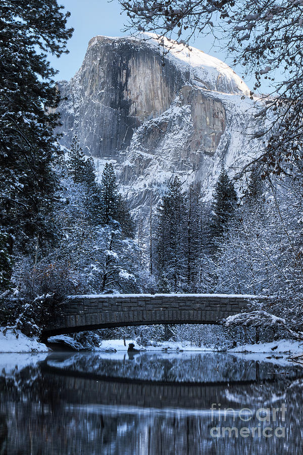 Morning Reflection by Vincent Bonafede Morning Reflection by Vincent Bonafede