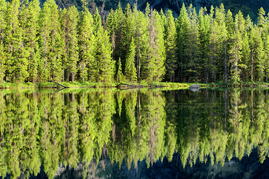 Morning Reflections On String Lake Photograph by Dean Fikar