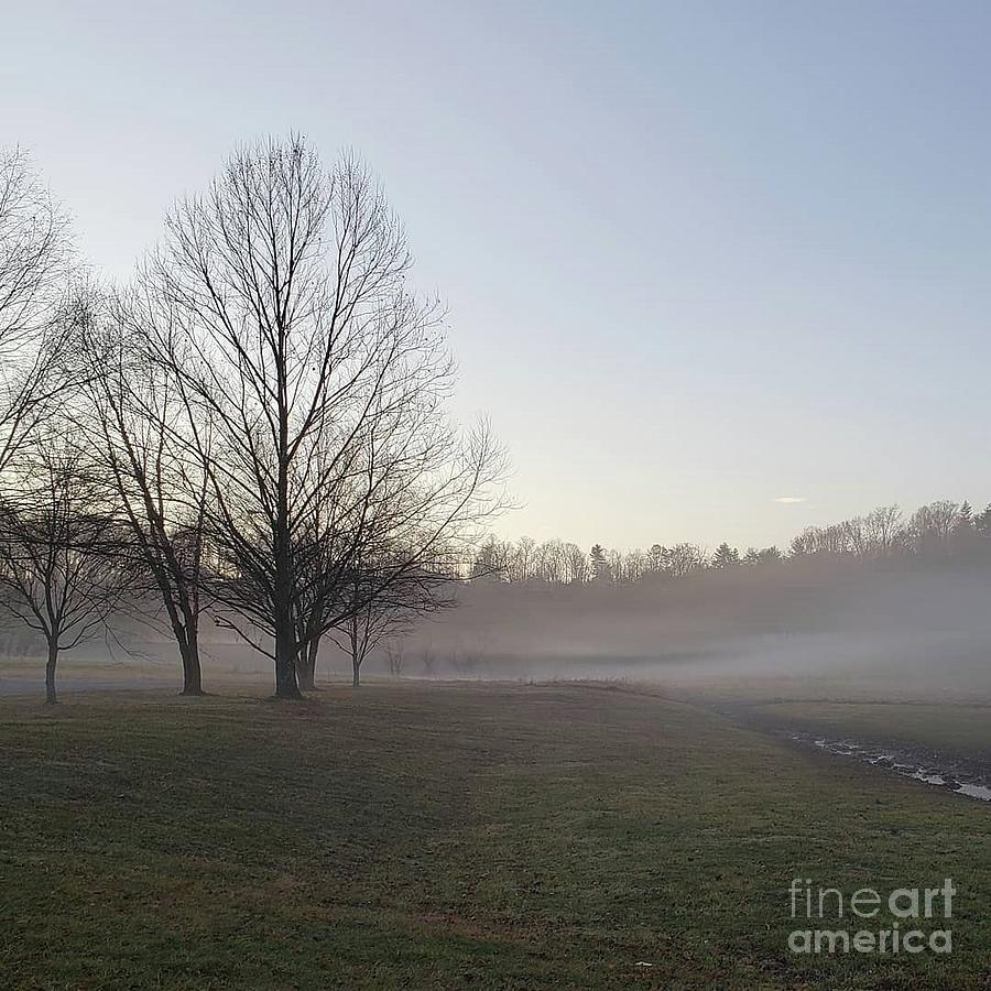 Morning Rise II Photograph by Anita Adams