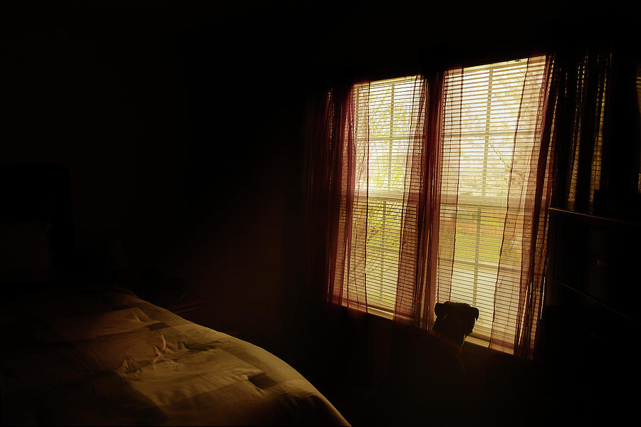 Morning Routine by Ant Pruitt Morning Routine by Ant Pruitt