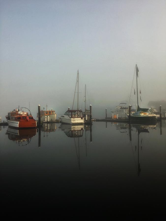 Morning Fog at the Marina Photograph by Jerry Abbott