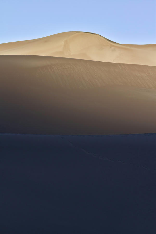 Morning Shades of Tan and Blue Great Sand Dunes National Park Photograph by Robert Woodward