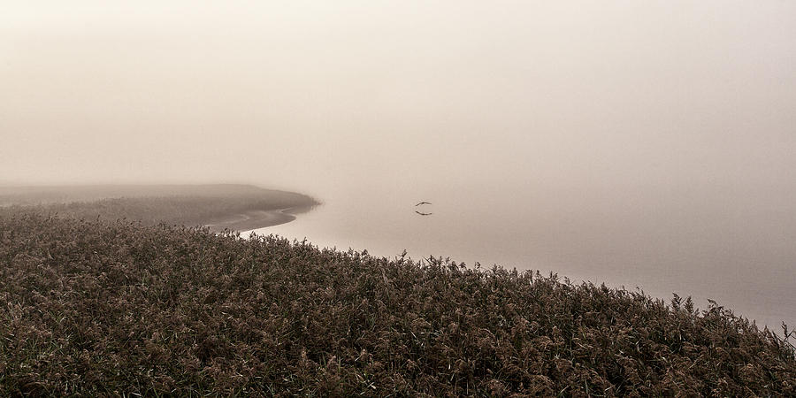 Morning Silence. Photograph by Leif Lndal