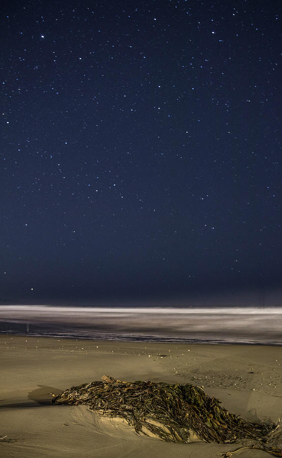 Morning Stars with Beach  Photograph by John McGraw