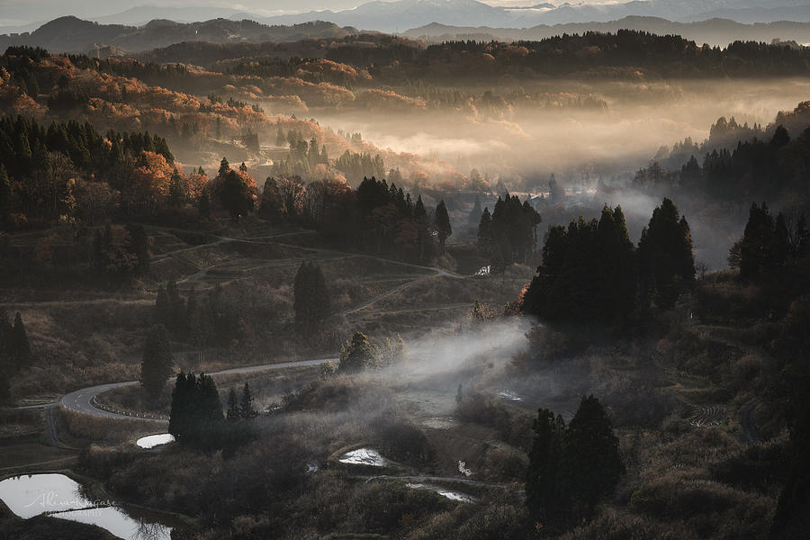 Morning Sun Photograph by Akira Nagase - Fine Art America