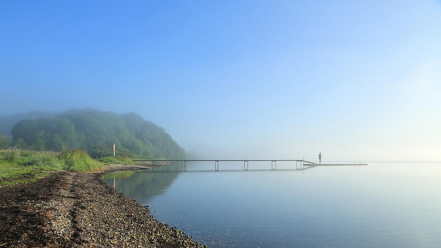 Bridge Photograph - Morning Swim. by Leif Lndal