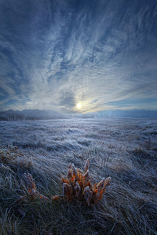 Morning Time Blues by Phil Koch Morning Time Blues by Phil Koch