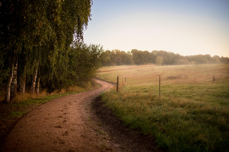 Morning Trail Photograph by Soeren Pap-tolstrup