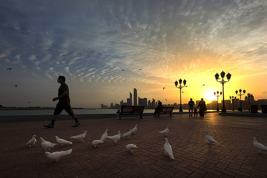 Pigeon Photograph - Morning Vibes At Breakwater by Souvik Banerjee