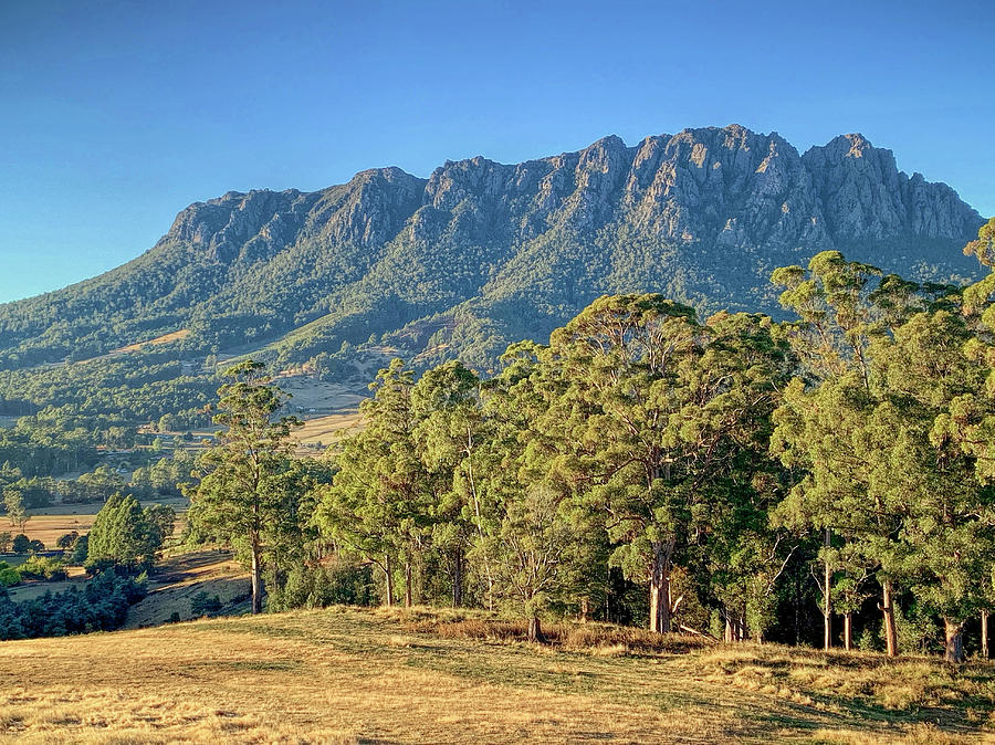 Morning view of Mount Roland by Tony Crehan Morning view of Mount Roland by Tony Crehan