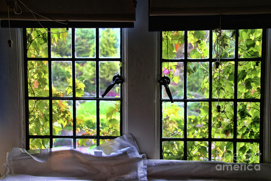Morning View out Window 7585 Photograph by Jack Schultz