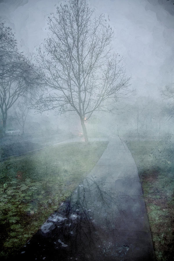 Morning Walk in Mist Digital Art by Terry Davis