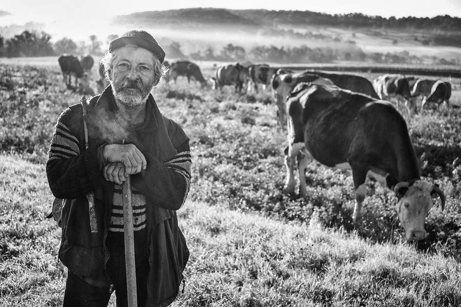 Morning With The Herd - IIi Photograph by Zoran