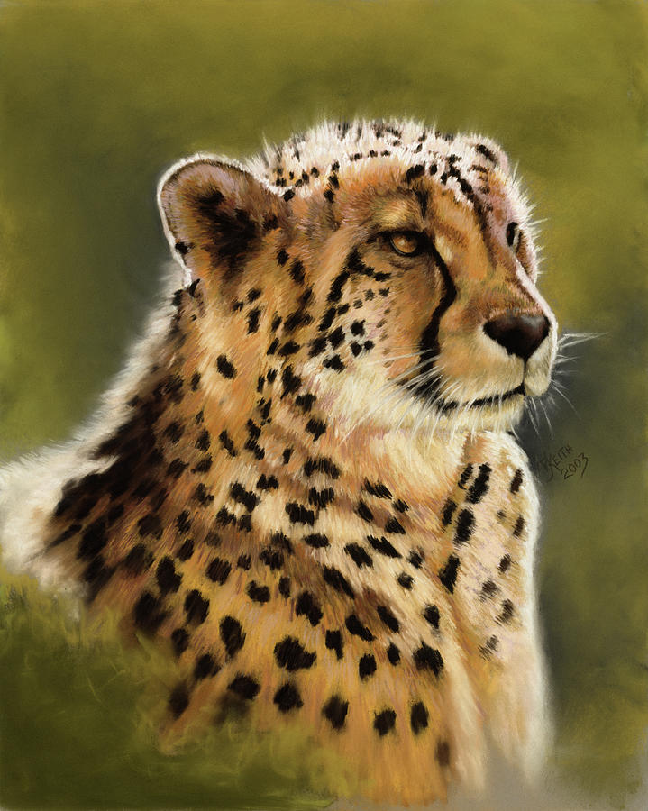 Cheetah Painting - Mornings Glow by Barbara Keith