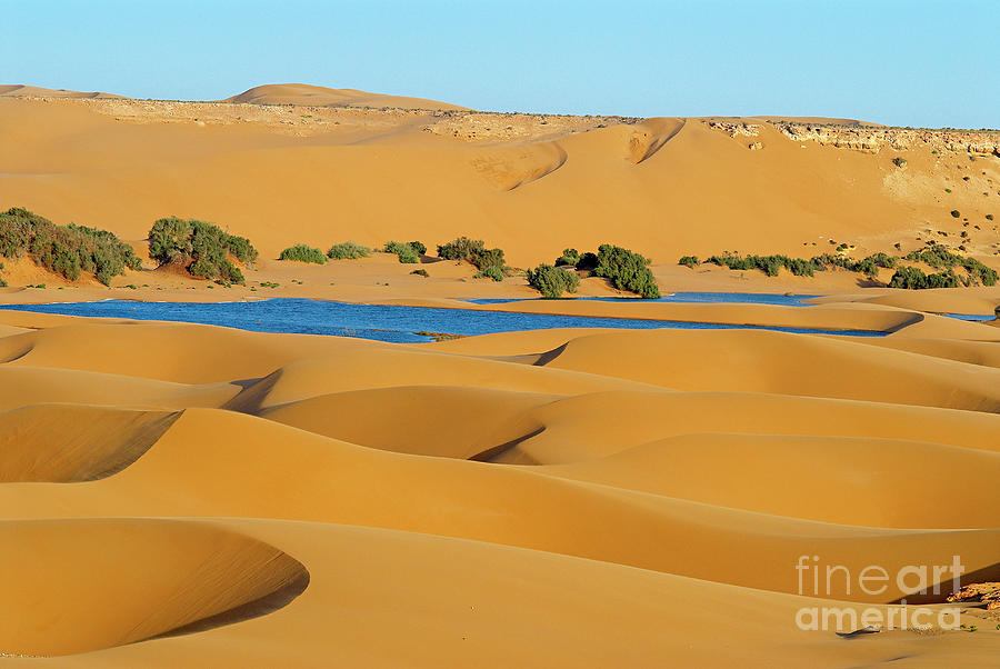Morocco, Laayoune, Lagoon In Desert Photograph by Tuul & Bruno Morandi