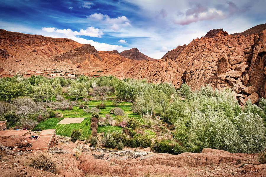 Morocco Oasis Photograph by Stuart Litoff