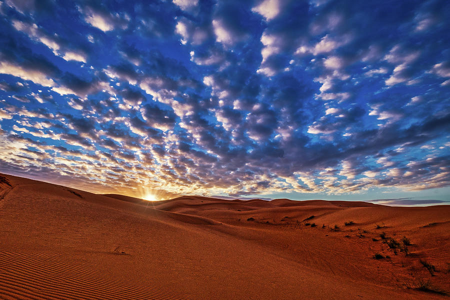 Morocco Sand Dune Sunrise Photograph by Stuart Litoff