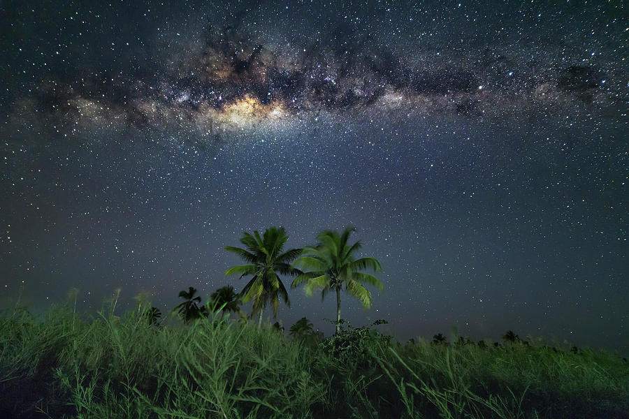 Landscape Photograph - Morondava  forest in Madagascar and the austral milky way. by Ivan Pedretti