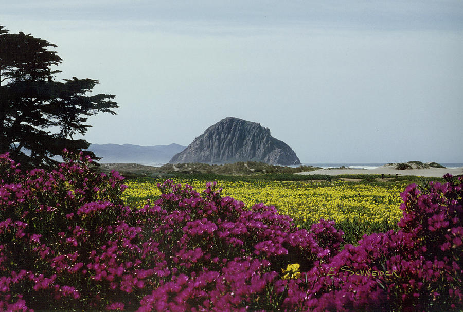 Morro Rock, CA Photograph by Edie Schneider