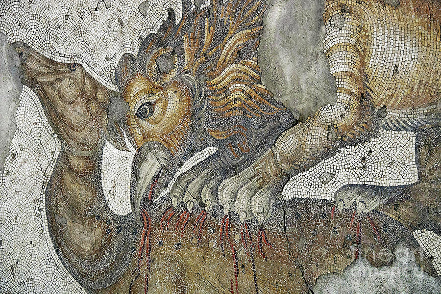 Mosaic Depicting A Lion Griffon Attacking A Deer Photograph by Roman School