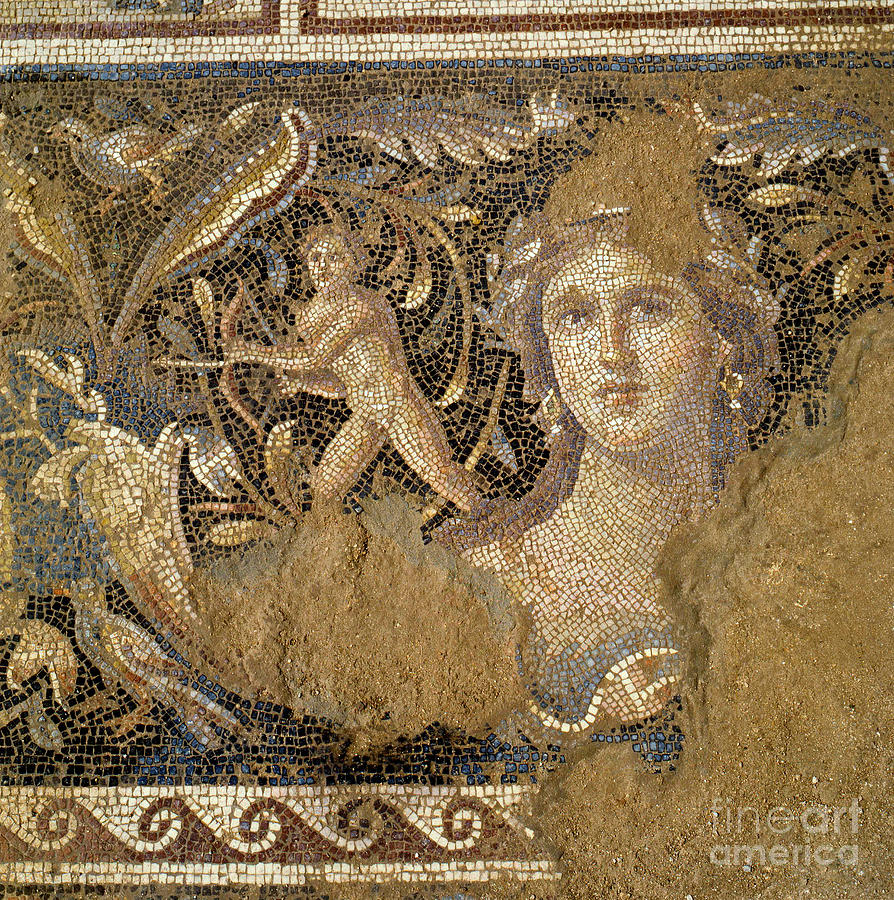 Mosaic Floor From A Roman Villa At Zippori Photograph by Roman