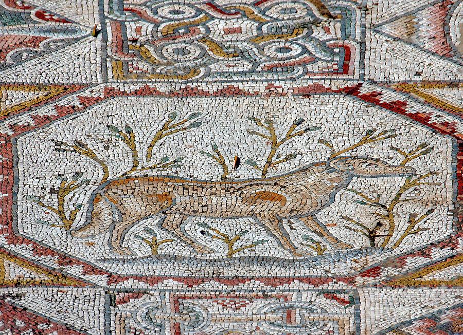 Mosaic Floor Of A Monastery From Bet Guvrin Photograph by Photostock-israel/science Photo Library
