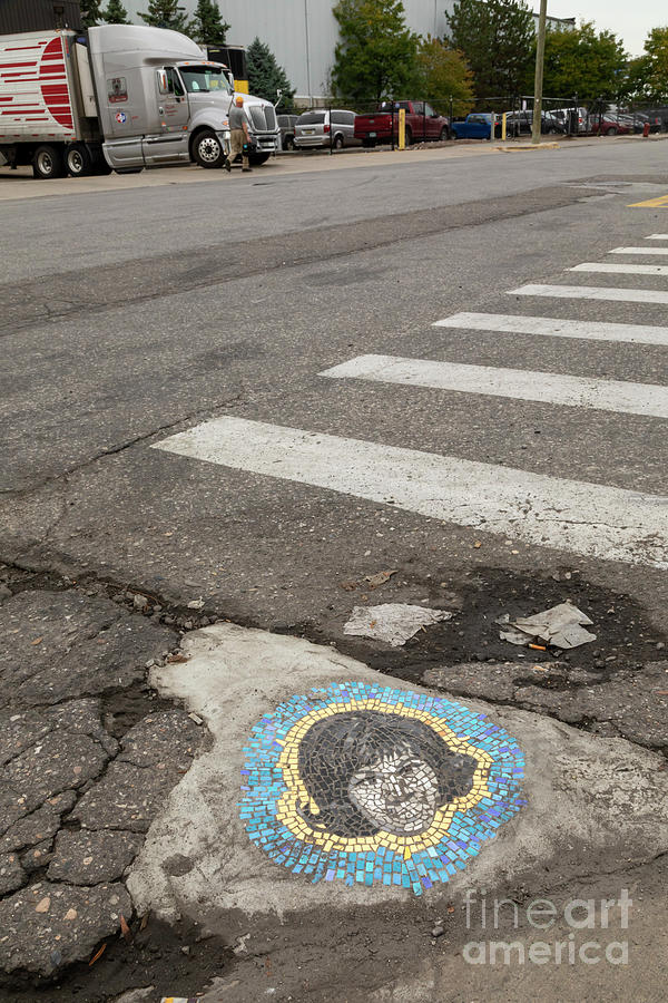 Mosaic Pothole Patch Photograph by Jim West/science Photo Library