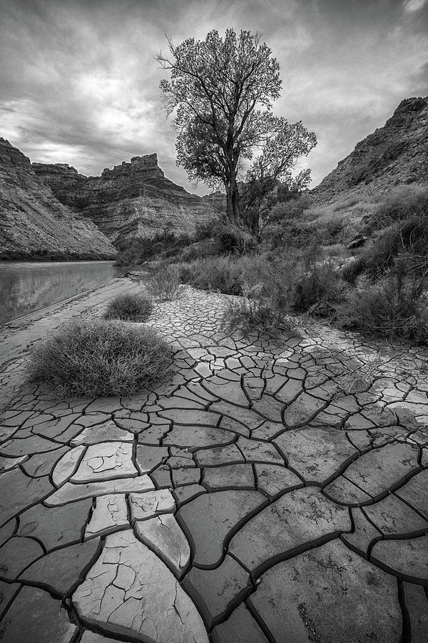 Mosaic River Bank Photograph by Geoffrey Ferguson