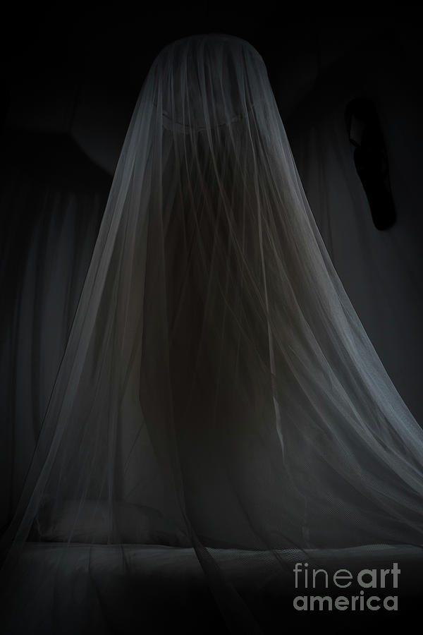 Mosquito Net In A Hotel Room Photograph by Anze Furlan / Psgtproductions