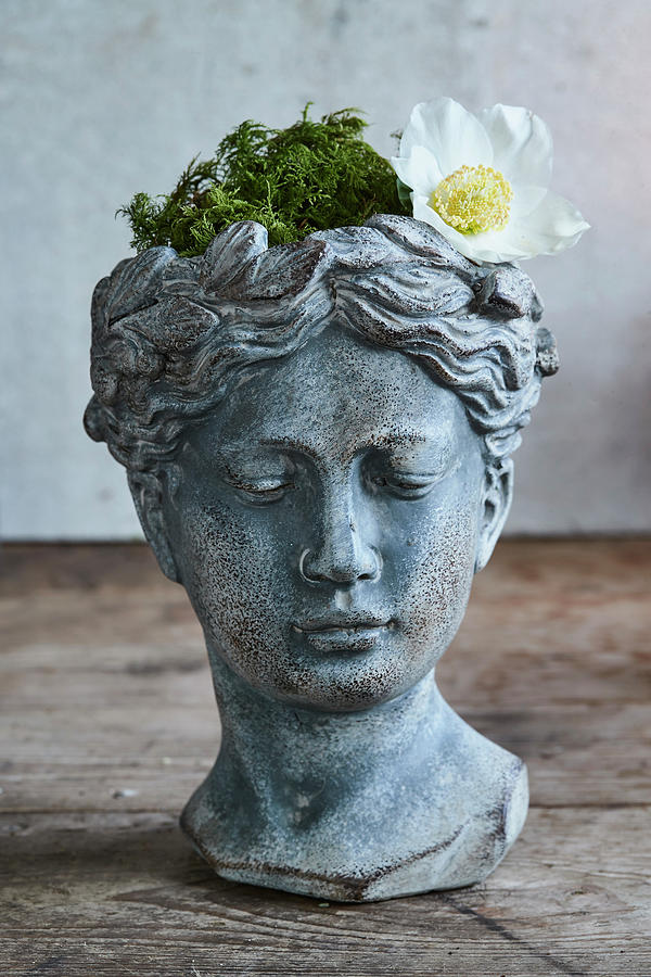Moss And Hellebore In Head-shaped Planter Photograph by Brigitte Sporrer