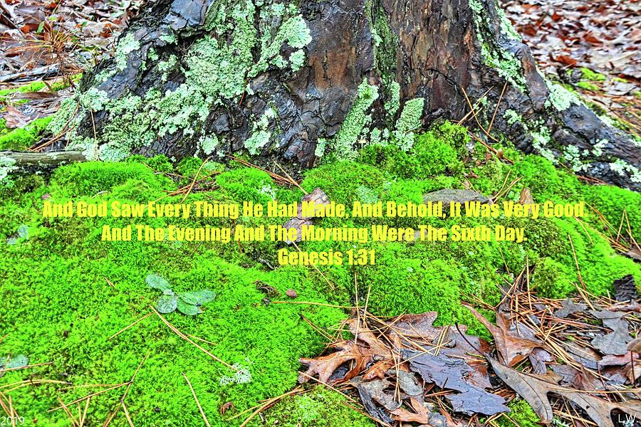 Moss And Leaves Ground Cover Genesis 1 31 Photograph by Lisa Wooten