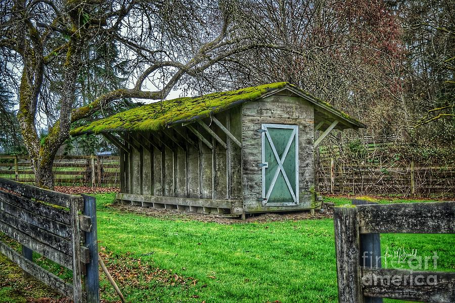 Moss Covered Barn Photograph by Ian McDonald | Pixels