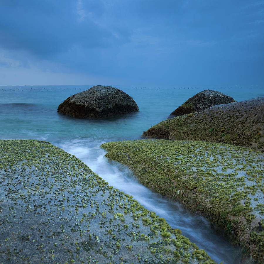Moss Covered Rocks At Seashore Photograph by Andreluu