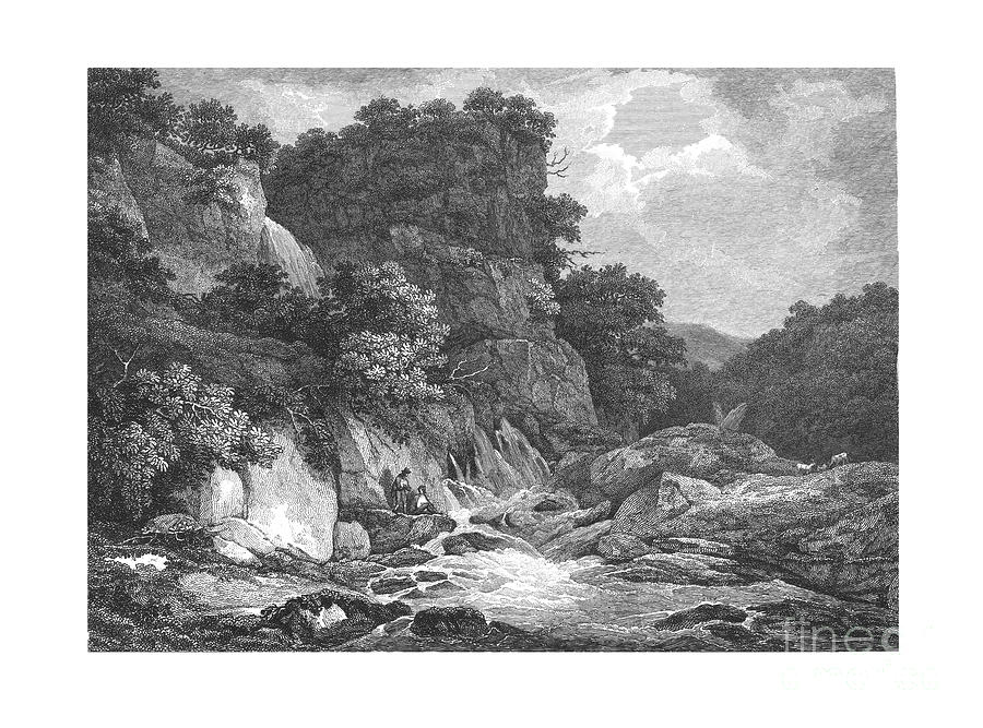 Moss Dale Drawing by Print Collector