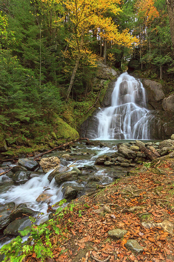 Waterfall Photograph - Moss Glen Falls In Vt by Galloimages Online