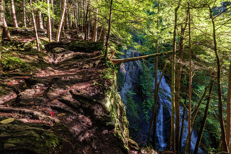Moss Glen Falls - Stowe Vermont Photograph by Chad Dikun
