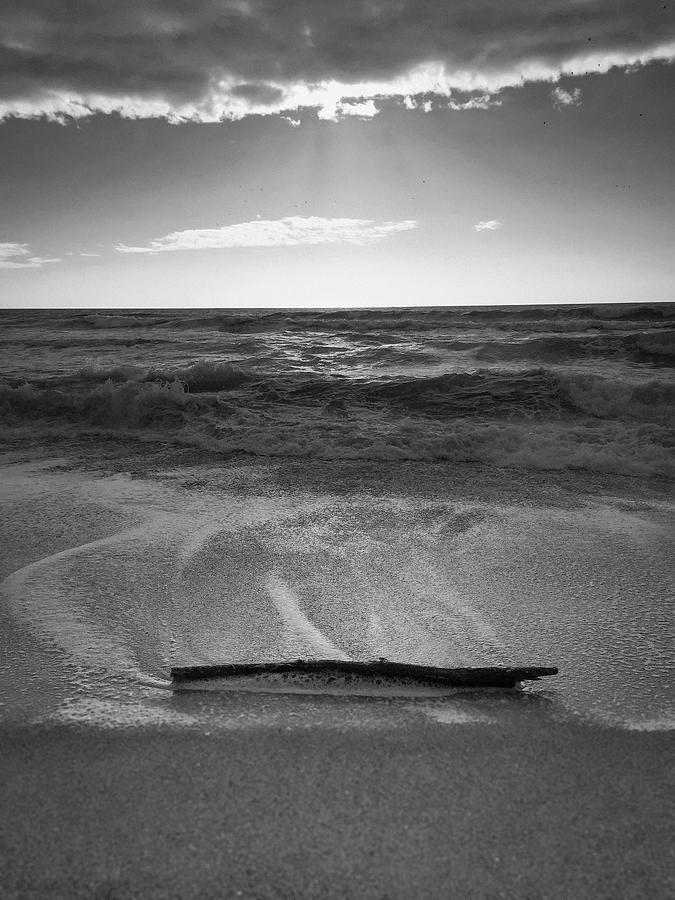Moss Landing Driftwood by Patrick Cosgrove Moss Landing Driftwood by Patrick Cosgrove