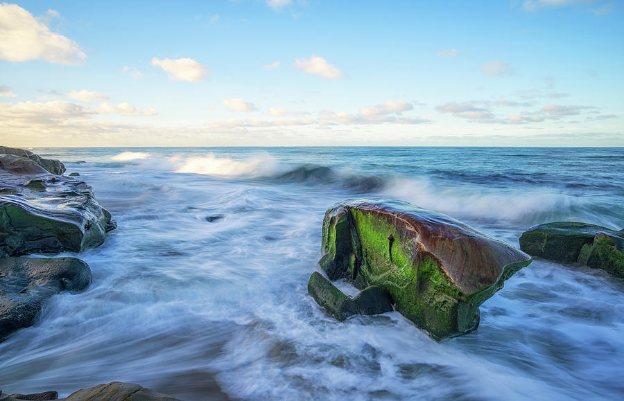 Nature Photograph - Moss Rock by Joseph S Giacalone
