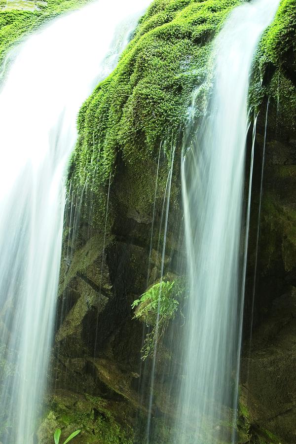 Mossy Falls by John Bates Mossy Falls by John Bates