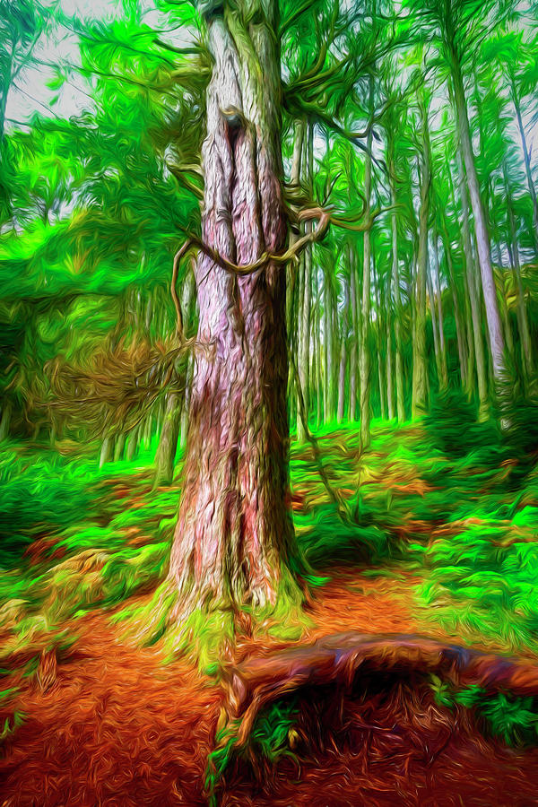Mossy Forest Painting Photograph by Debra and Dave Vanderlaan