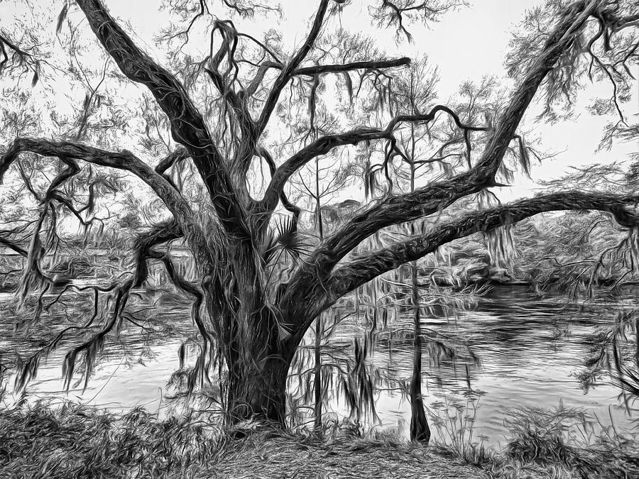 Mossy Oak on the Suwanee Digital Art by Susan Hope Finley