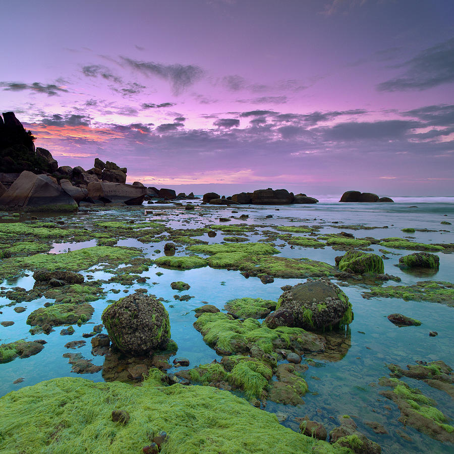 Mossy Rocks Photograph by Andreluu
