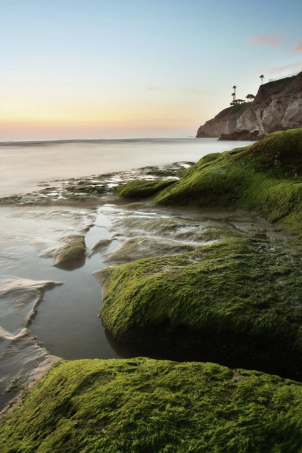 Mossy Rocks At Pismo Beach Photograph by Kevinruss Mossy Rocks At Pismo Beach Photograph by Kevinruss