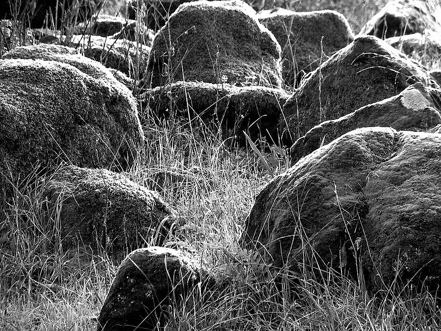 Mossy Rocks Photograph by Glory Ann Penington