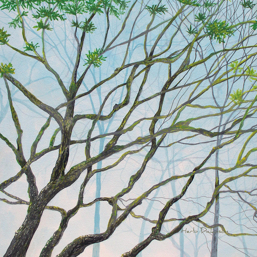 Mossy Tree Vies Painting by Herb Dickinson
