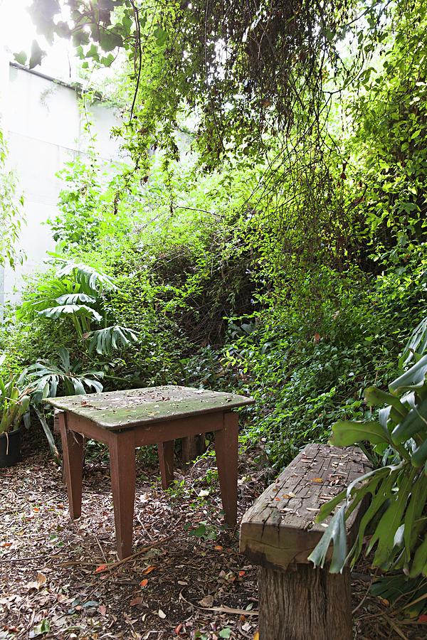 Mossy Wooden Table And Weathered Bench In Garden On Floor Covered In Leaf Litter Photograph by Natalie Jeffcott