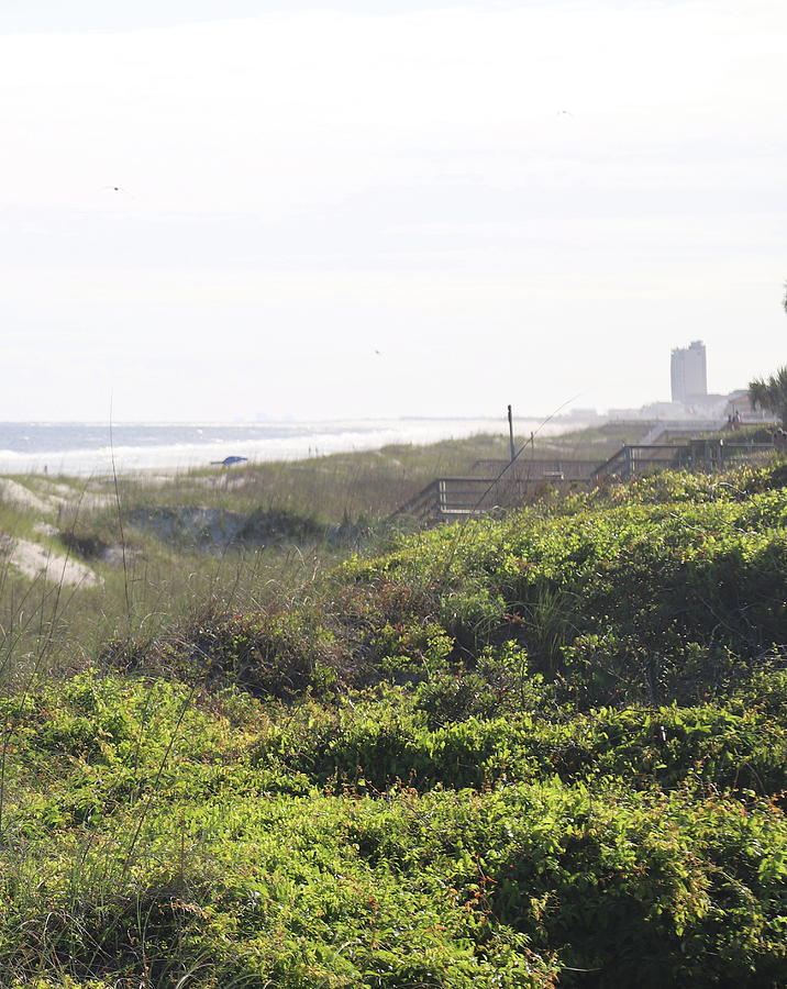 Motels In The Distance At Ocean Isle Photograph by Cathy Lindsey | Fine ...