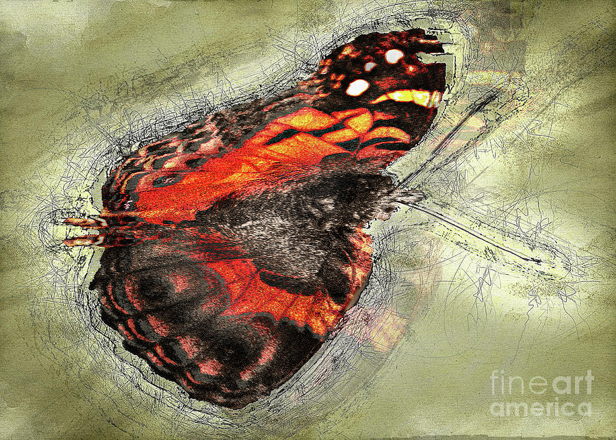 Moth Digital Art by Anthony Ellis