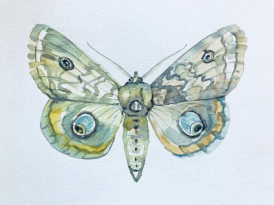 Moth Painting - Moth by Luisa Millicent